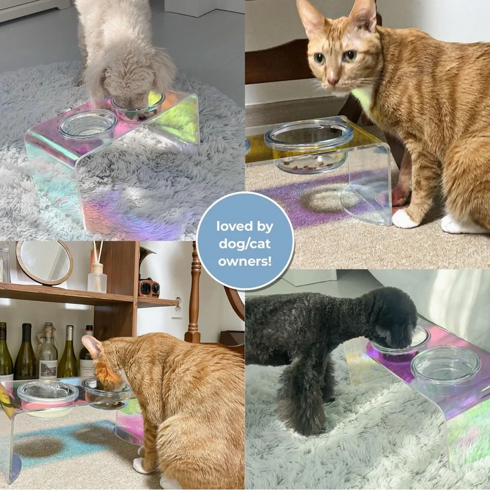 KAMANG HOLOGRAPHIC PET GLASS BOWL FEEDER FOR CATS & DOGS